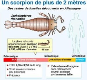 scorpionmi4