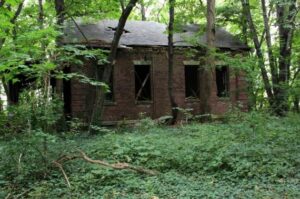 l-ile-abandonnee-en-plein-centre-de-ny