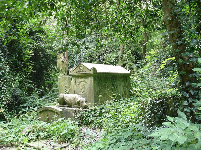 À l'époque du vampire de Highgate, une grande partie du cimetière était négligée et envahie par la végétation. (Photo : John Armagh)