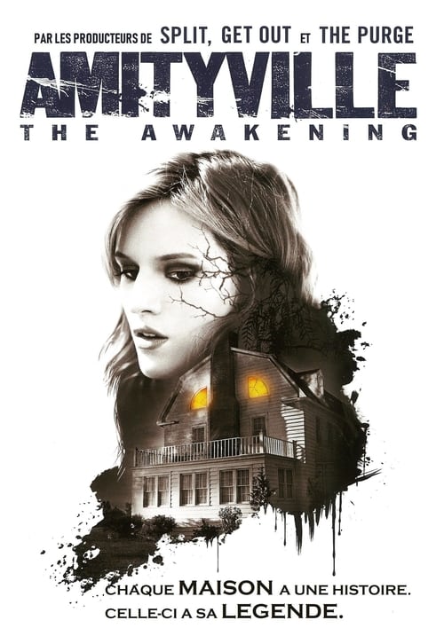 Amityville : The Awakening